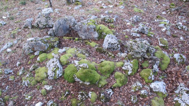 Berjalaran 3 erdi trikuharria, Donemiliaga