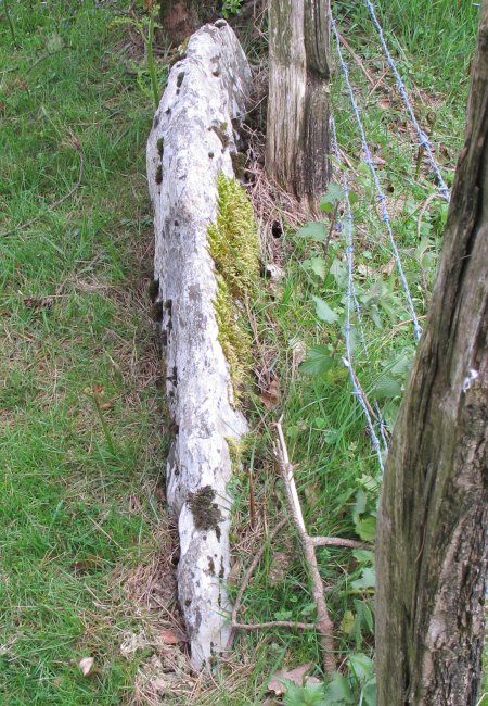 Mugarri Haundi zutarria, Araitz