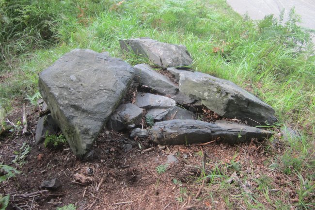 Cista Arbotante II  (Julio 2021)