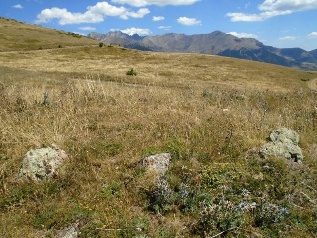 camino de los muertos
