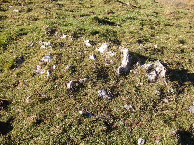 C. tumular Kardaño T 2