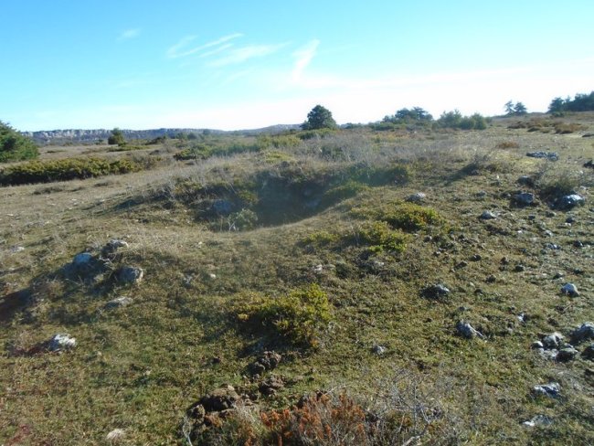 san lorenzo trikuharria