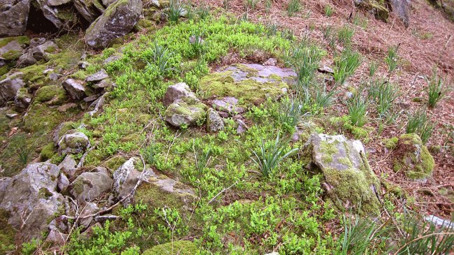 Irazabal 2 trikuharria, Iruritq-Baztan