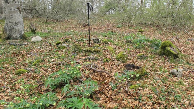 Bagaritxa 3 tumulua, Goñi