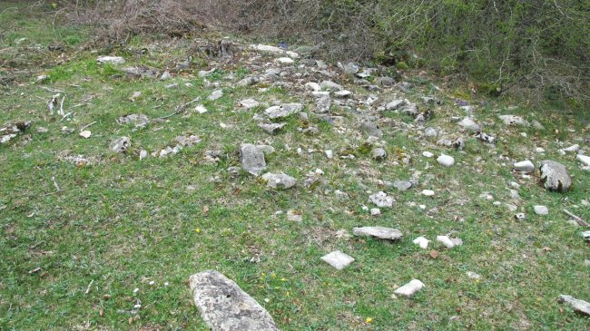 Bagaritxa 5 tumulua, Goñi