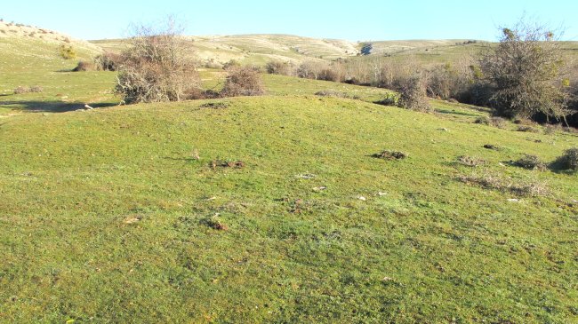 Anuelen Bidea etxola hondoa, Andia