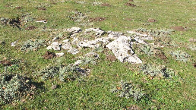 Agin 2 tumulua, Andia