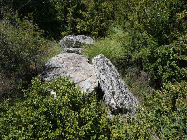 Valdepeña trikuharria 2