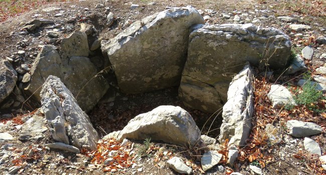 San Sebastian Ipar trikuharria, Anda Kuartango