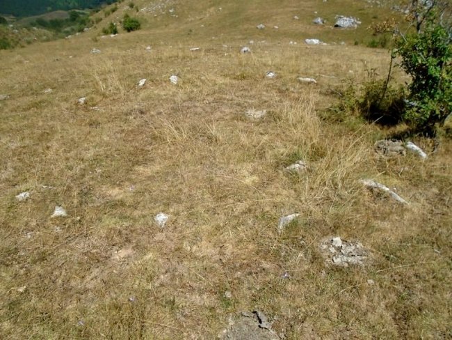 mampodre