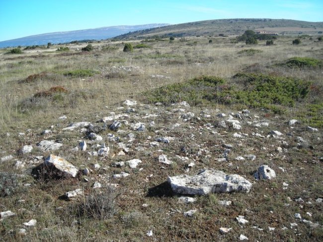 campo tumular la mazorra